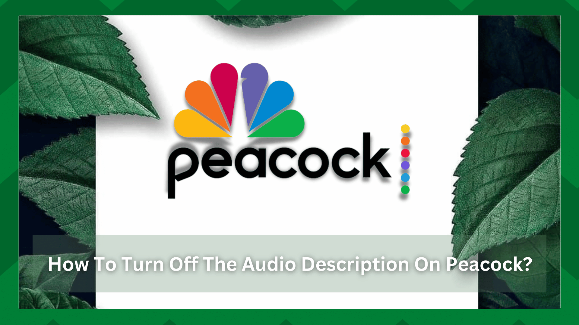 Peacock တွင် အသံဖော်ပြချက်ကို ပိတ်ရန် နည်းလမ်း ၅ ခု